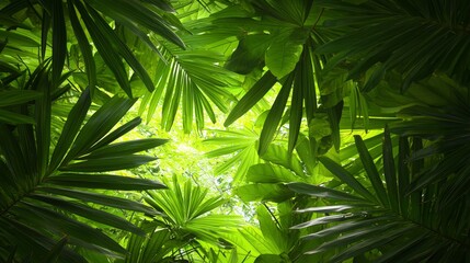 Poster - Lush Tropical Foliage with Green Leaves Framing Natural Light in Photorealistic Style