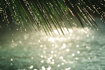 Poster - Close-up of glistening droplets on palm fronds against a blurred background of water, highlighting the tranquility and beauty of nature in morning light.