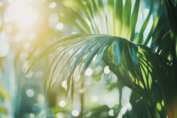 Poster - This image showcases vibrant green palm leaves kissed by sunlight, with a soft bokeh effect creating an abstract representation of natural serenity and lightness.
