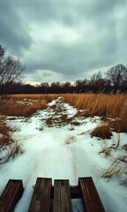 Wall Mural - A wooden path leads through a snowy landscape, framed by tall grasses and overcast skies, inviting exploration of nature's tranquility.