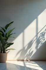 Poster - Indoor space with light beige wall, plant. Sunlight casts soft shadows from window on wall. Woven planter with green leaves sits in corner of room. Floor white marble. Empty display area. Suitable