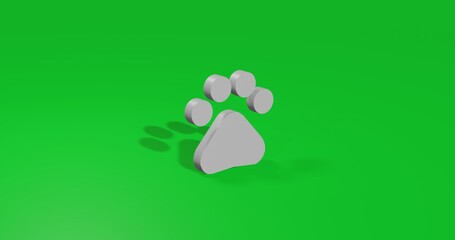 Poster - Isolated realistic white pet symbol front view with shadow. 3d illustration on green chroma key background