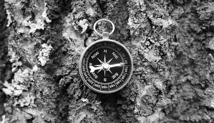 Wall Mural - classic navigation compass on natural background