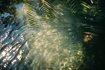 Poster - Palm fronds cast shadows on a shimmering water surface, creating a serene and natural ambiance that emphasizes tranquility and connection with nature's elements.