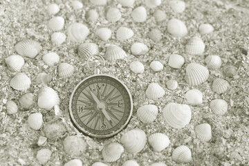 Wall Mural - classic navigation compass on natural background