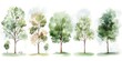 © Nats - Unique set of artistic trees ideal for design projects.