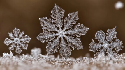 Poster - Intricate Ice Crystals Glimmering On Winter Snow
