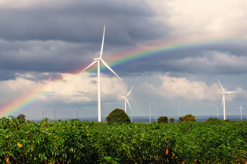Wall Mural - rainbow is seen in the sky above a field of crops