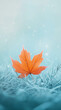 © Jarmila - A close-up of an orange maple leaf on the grass, with frost covering it