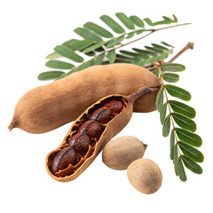 Sticker - Tamarind on white Background.AI GENERATED