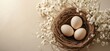 © Ashalina - Three eggs nestled in a bird's nest, surrounded by delicate white flowers.
