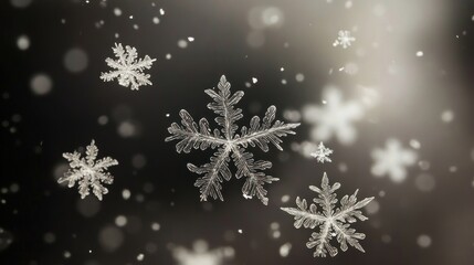 Aufkleber - Intricate Snowflakes Falling Against A Dark Background
