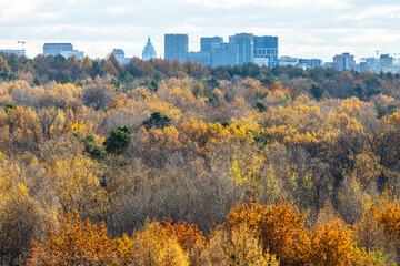Wall Mural - colorful city park with lush foliage in autumn