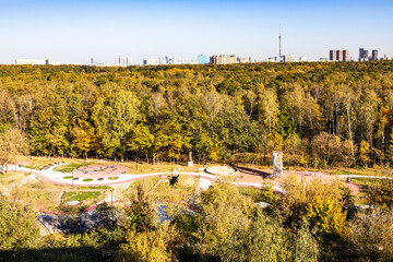 Wall Mural - above view of playground in forest of city park