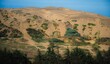 © Wirestock - Sand dunes with vegetation under clear sky