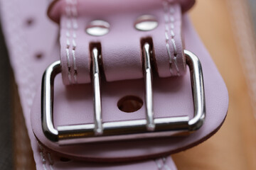 Poster - A close-up shot of a pink leather belt with intricate details and texture.