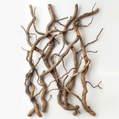 Poster - Intertwined branches creating a natural abstract design on white background