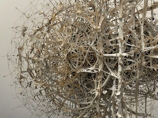 Intricate lines on white paper, depicting complexity and disorder.