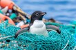 © typepng - A penguin caught in a plastic net highlights the issues of marine plastic pollution and nature conservation.