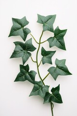 Poster - A single green leaf sits on a white surface, ready for use in various applications