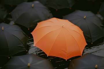 Poster - A collection of black and orange umbrellas standing together in the rain, ready for use