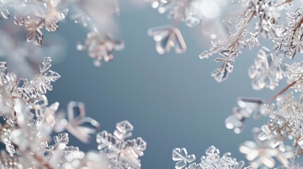 Poster - A detailed look at individual snowflakes, great for winter-themed designs or educational purposes