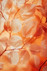 Aufkleber - A detailed view of a cluster of leaves