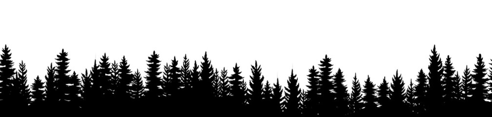 Wall Mural - taiga in forest. landscape with coniferous trees. pine fir or spruce. the composition seamless. imag