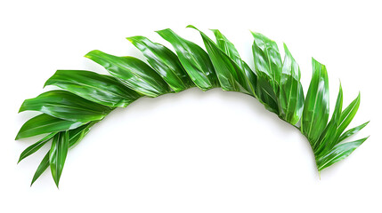 Poster - Tropical palm frond frame Lush greenery border isolated on a white background for design projects