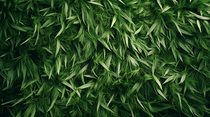 Aufkleber - Artificial Green grass texture seamless background, top view