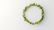 © D.e.a.r - Fresh green leaves forming circular wreath on light background