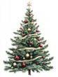 © NWEDEK - A realistic painting of a fully decorated pine tree standing tall against a pure white background.