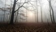© Sadik - Foggy Nature Scenes, Misty Forests, Mountains, Lakes, and Serene Landscapes
