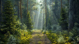 An enchanting Scandinavian forest path surrounded by dense foliage, tall coniferous trees, and thick moss, with soft rays of sunlight breaking through the canopy.