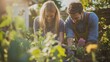 © phy - couple working together in their garden, planting or tending to flowers and plants
