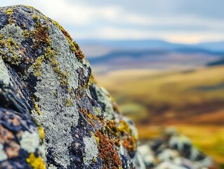 Poster - Close-up of lichen-covered rock against a blurred mountain landscape.