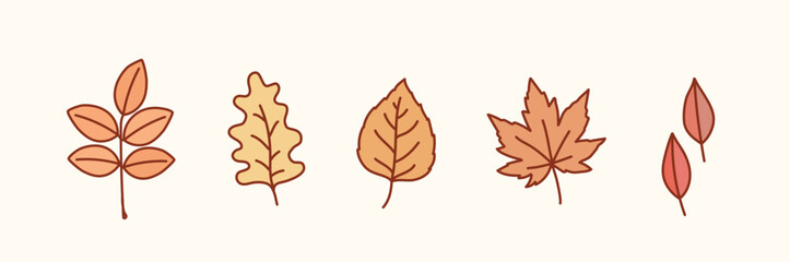 autumn leaves illustration. Vector autumn elements. Hand drawn style vector design illustrations.