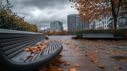 Poster - A serene urban park scene with benches and autumn leaves under a cloudy sky.