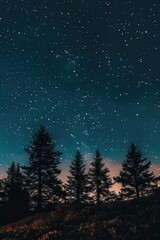 Wall Mural - dark sky with a few trees in the background. the trees are silhouetted against the sky, and the star