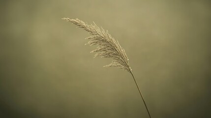 Poster - A close-up of a delicate grass spike against a soft, blurred background.