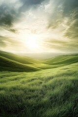 Canvas Print - Lawn with blue sky