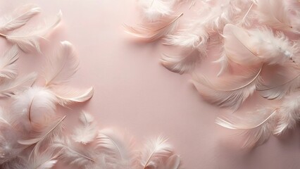 Wall Mural - Delicate blush pink feathers arranged on a soft background, creating a serene and elegant composition.