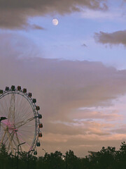 ferris wheel in the night