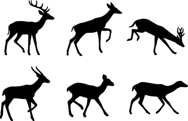 Wall Mural - deer silhouette vector