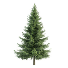 Aufkleber - realistic 3d rendering of a vibrant green christmas tree, with a transparent background for holiday 