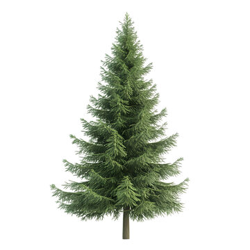 Realistic 3d rendering of a vibrant green christmas tree, with a transparent background for holiday decorations