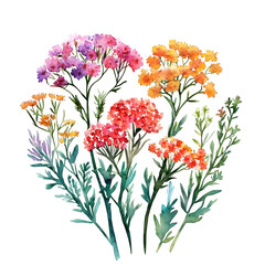 Poster - Lively wildflower arrangement with a clear background, ideal for infusing designs with a natural touch