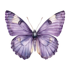 Poster - Watercolor painting of a purple butterfly with open wings, isolated on a transparent background, creating a delicate and ethereal image