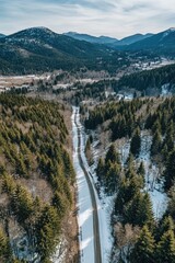 Wall Mural - train travels through snowy forest