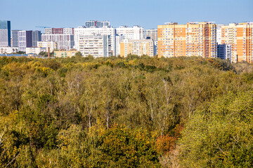 Wall Mural - colorful city park and high-rise urban houses